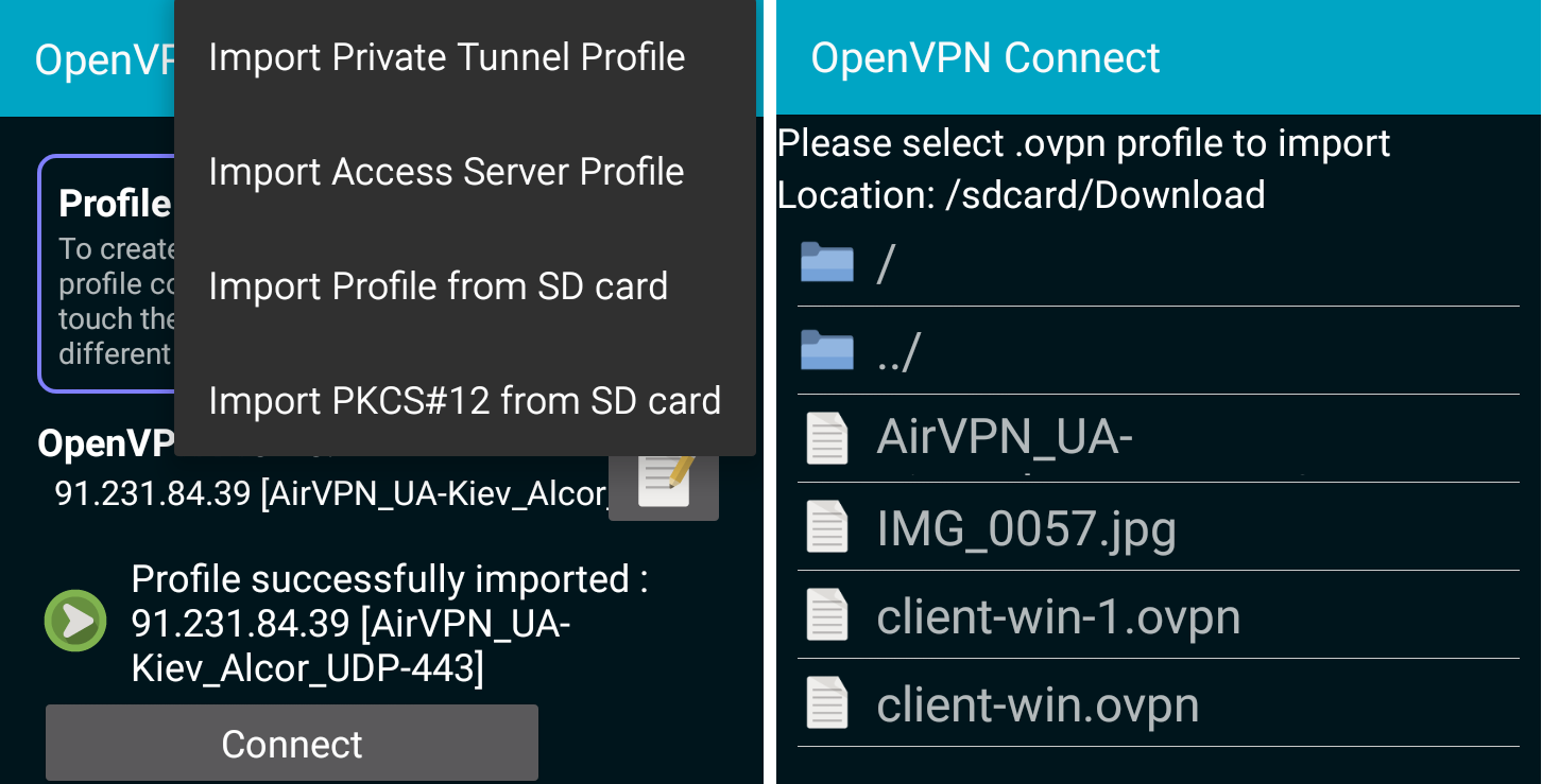 Einfügung der Konfigurationsdatei in die OpenVPN-App
