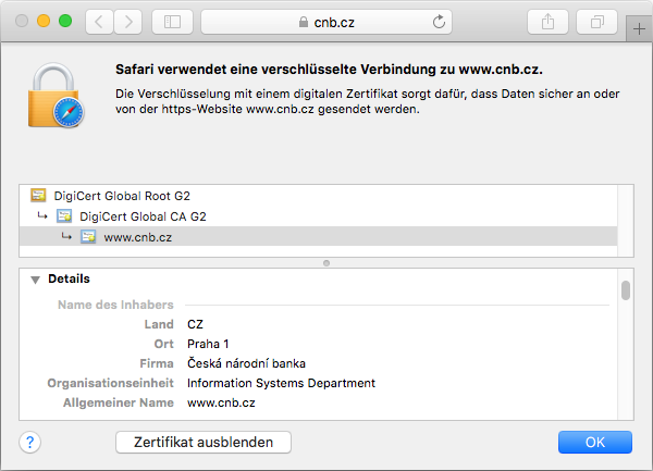 Darstellung des Zertifikats Secure Site Wildcard im Browser