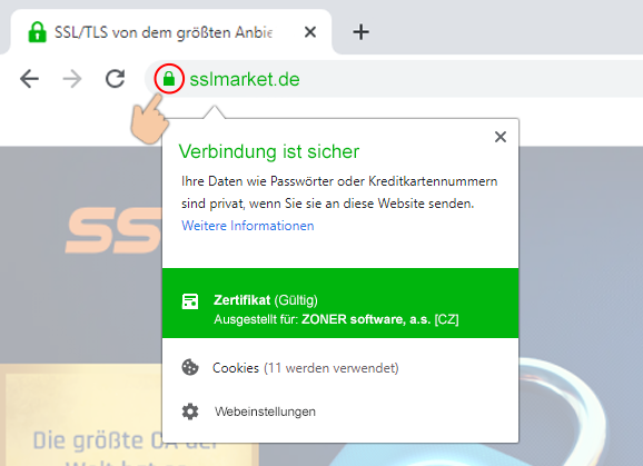 Darstellung des EV-Zertifikats im Browser