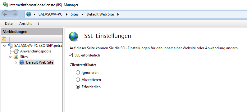 SSL-Einstellungen der Webseite in IIS 7