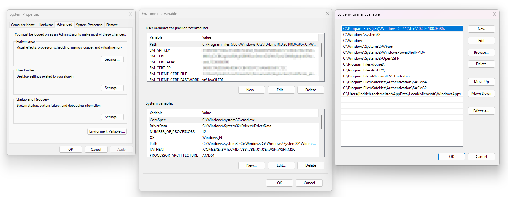 Hinzufügen von Variablen über die Windows-GUI